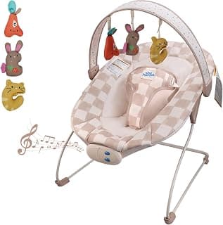 Deal Alert! This Baby Bouncer is a MUST-HAVE for New Moms & Newborns!